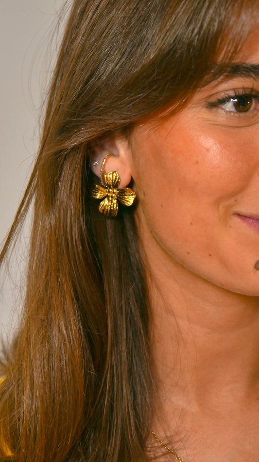 Boucles d'oreilles Kassy